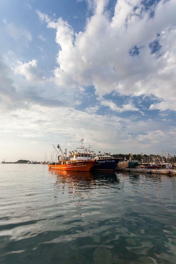 Galeb Holiday home