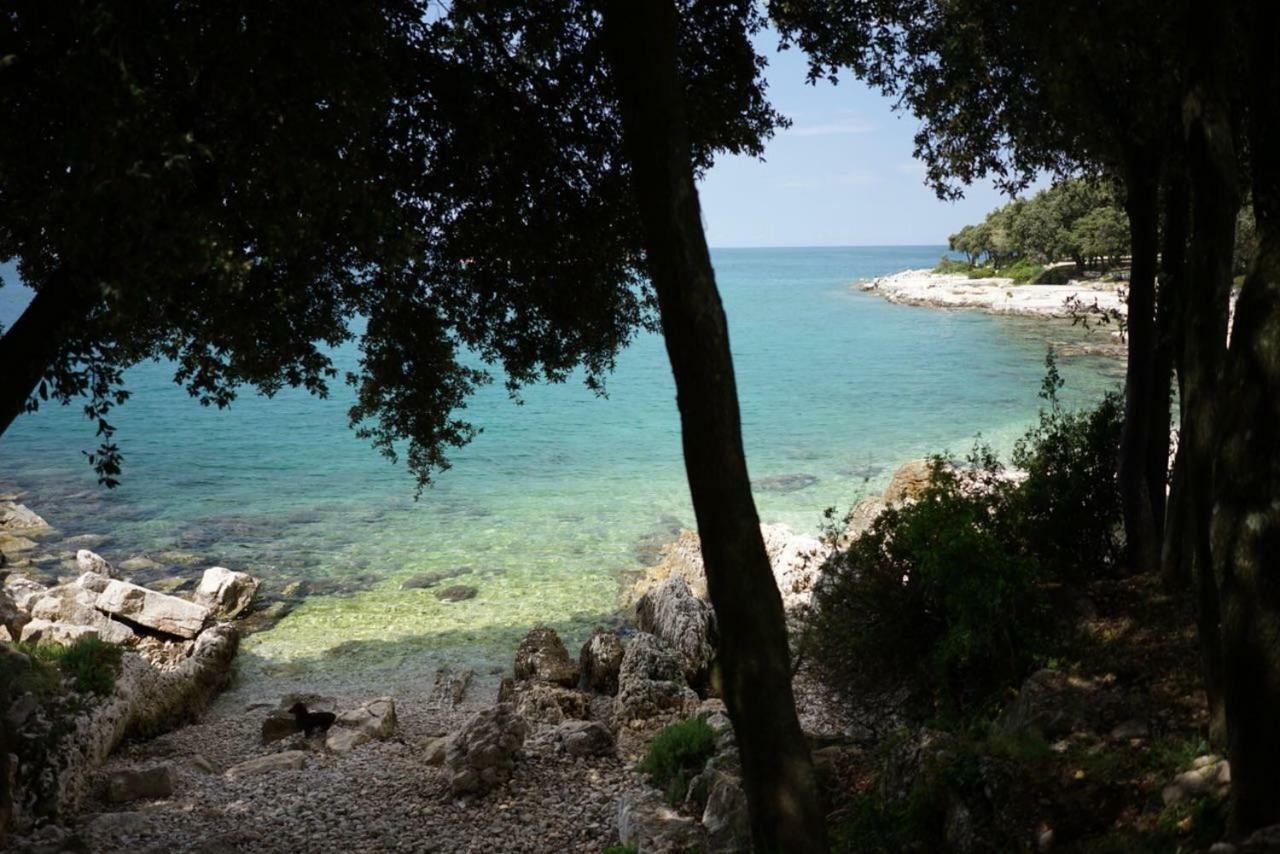 Galeb Holiday home Vrsar