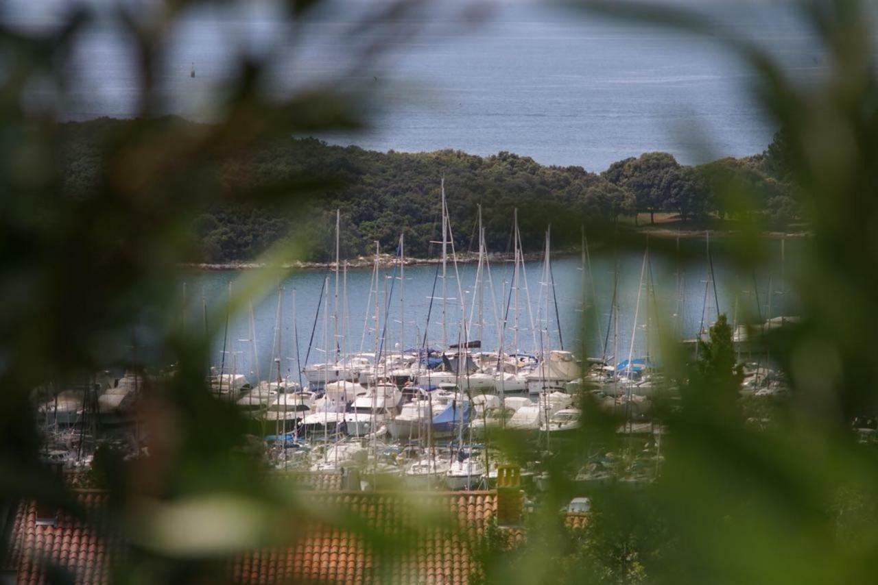 Galeb Vrsar